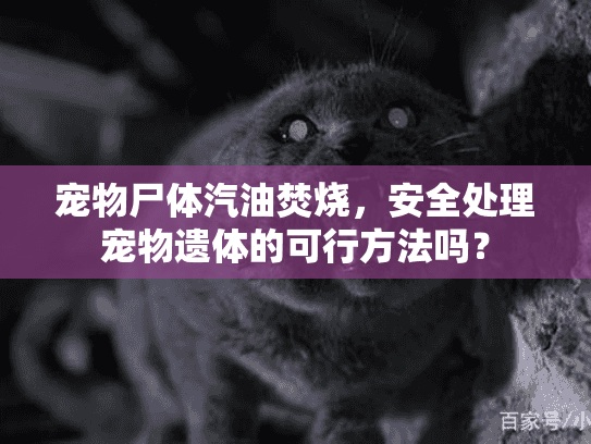 宠物尸体汽油焚烧，安全处理宠物遗体的可行方法吗？