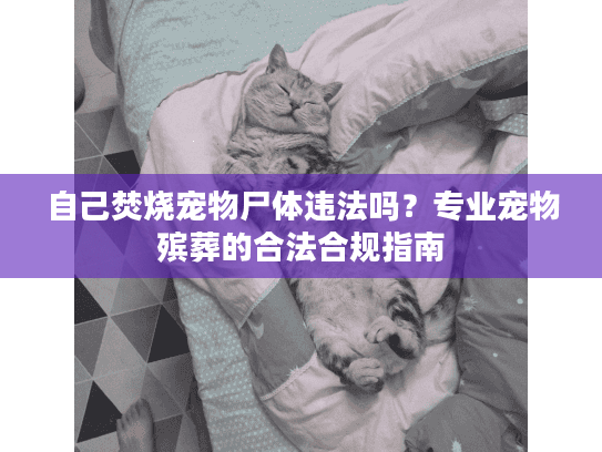 自己焚烧宠物尸体违法吗？专业宠物殡葬的合法合规指南