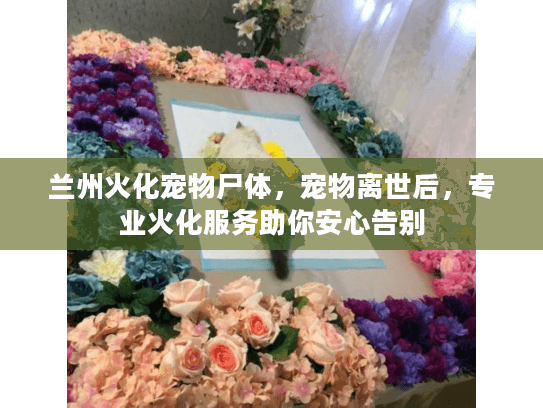 兰州火化宠物尸体，宠物离世后，专业火化服务助你安心告别