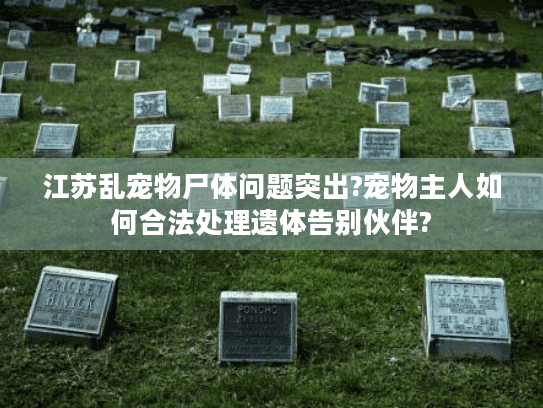 江苏乱宠物尸体问题突出?宠物主人如何合法处理遗体告别伙伴?