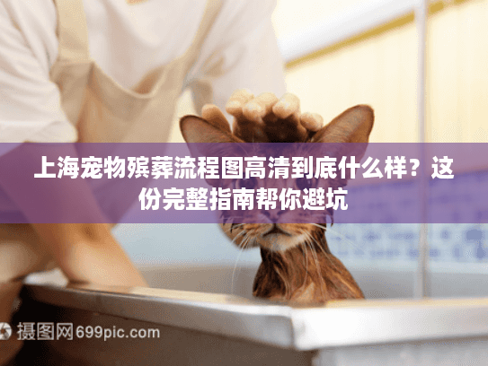 上海宠物殡葬流程图高清到底什么样？这份完整指南帮你避坑