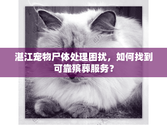 湛江宠物尸体处理困扰，如何找到可靠殡葬服务？