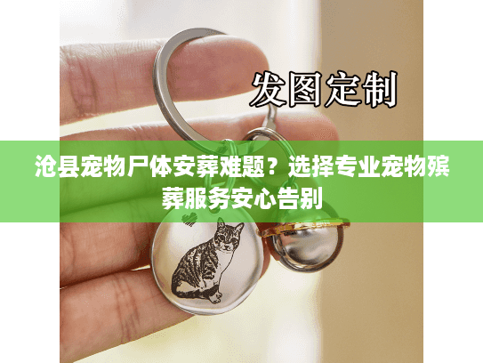 沧县宠物尸体安葬难题？选择专业宠物殡葬服务安心告别