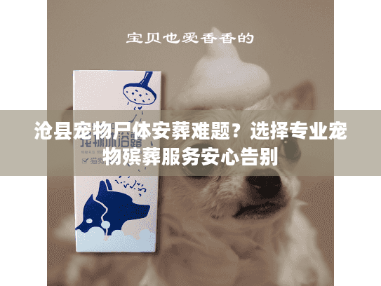 沧县宠物尸体安葬难题？选择专业宠物殡葬服务安心告别