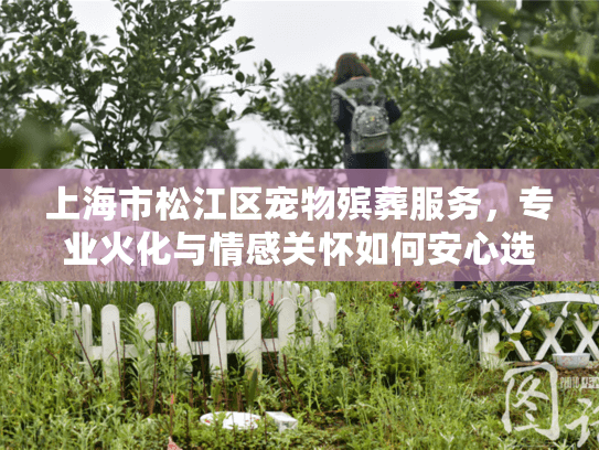上海市松江区宠物殡葬服务，专业火化与情感关怀如何安心选择？