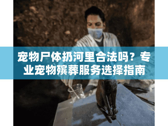 宠物尸体扔河里合法吗？专业宠物殡葬服务选择指南