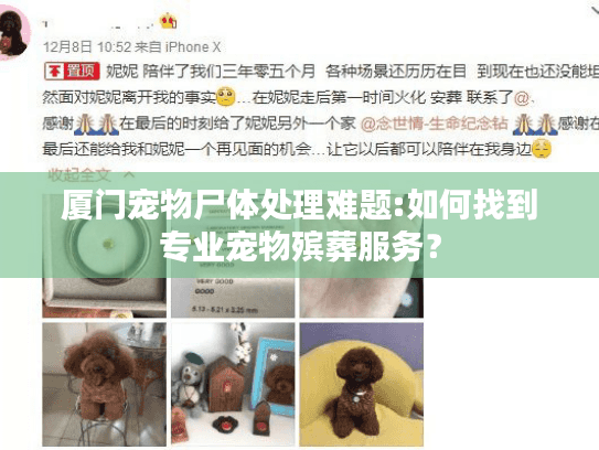 厦门宠物尸体处理难题:如何找到专业宠物殡葬服务？