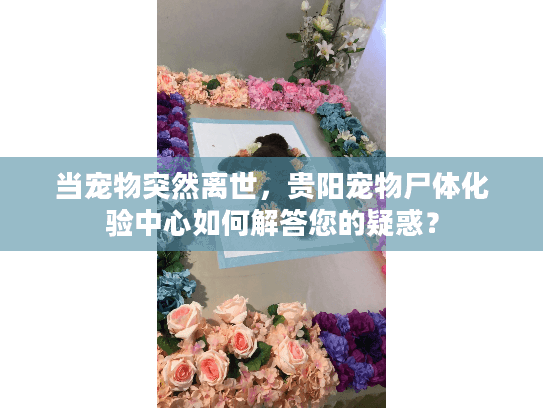 当宠物突然离世，贵阳宠物尸体化验中心如何解答您的疑惑？