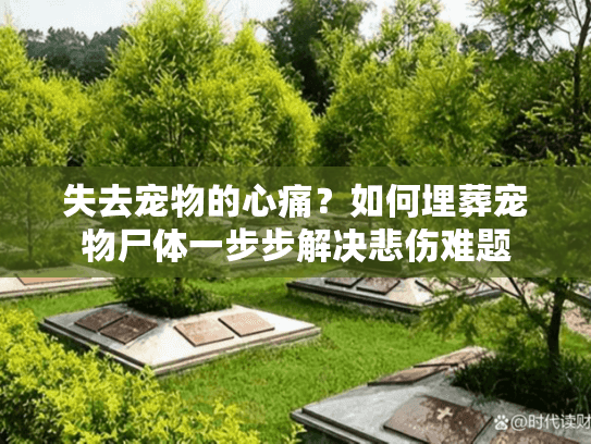 失去宠物的心痛？如何埋葬宠物尸体一步步解决悲伤难题