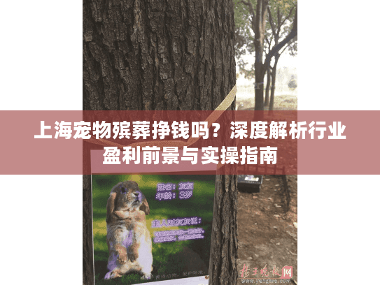 上海宠物殡葬挣钱吗？深度解析行业盈利前景与实操指南