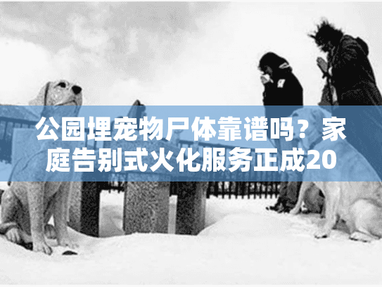 公园埋宠物尸体靠谱吗？家庭告别式火化服务正成2025年新选择