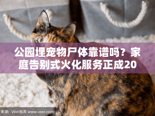 公园埋宠物尸体靠谱吗？家庭告别式火化服务正成2025年新选择