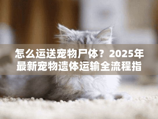 怎么运送宠物尸体？2025年最新宠物遗体运输全流程指南