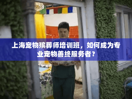 上海宠物殡葬师培训班，如何成为专业宠物善终服务者？