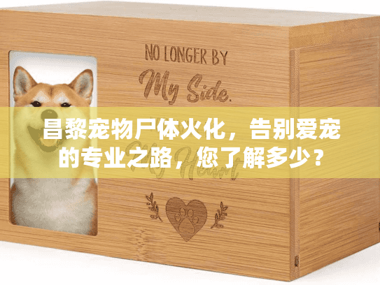 昌黎宠物尸体火化，告别爱宠的专业之路，您了解多少？