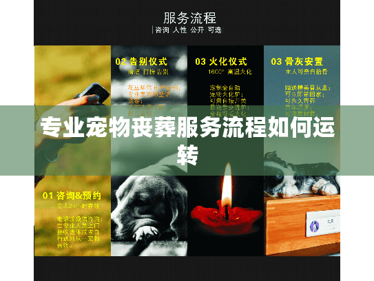 专业宠物丧葬服务流程如何运转