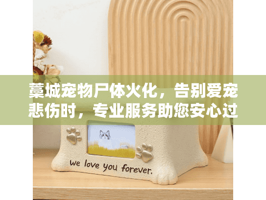 藁城宠物尸体火化，告别爱宠悲伤时，专业服务助您安心过渡