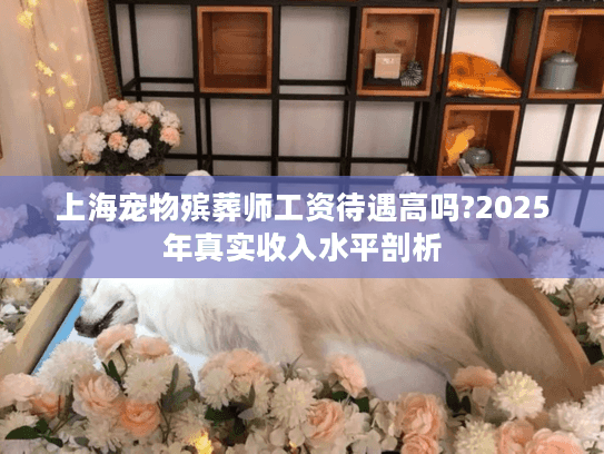 上海宠物殡葬师工资待遇高吗?2025年真实收入水平剖析
