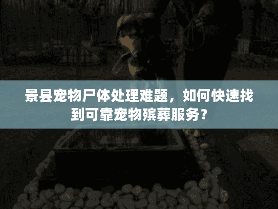 景县宠物尸体处理难题，如何快速找到可靠宠物殡葬服务？