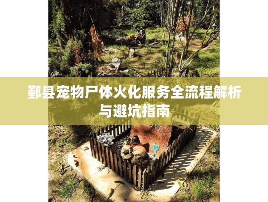 鄞县宠物尸体火化服务全流程解析与避坑指南 鄞县宠物尸体火化服务全流程解析与避坑指南