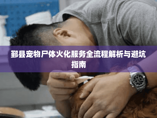 鄞县宠物尸体火化服务全流程解析与避坑指南 鄞县宠物尸体火化服务全流程解析与避坑指南