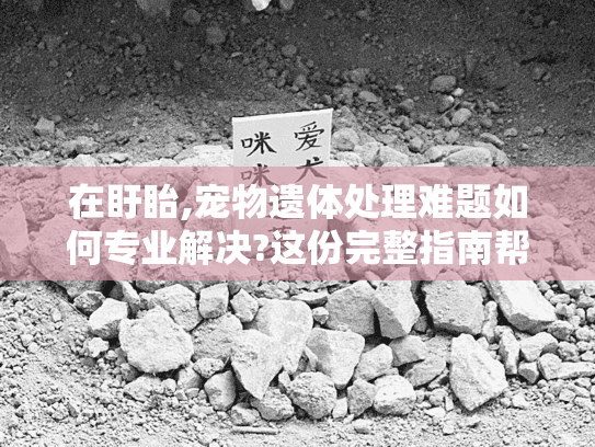 在盱眙,宠物遗体处理难题如何专业解决?这份完整指南帮助告别爱宠
