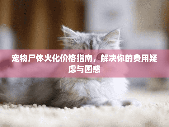 宠物尸体火化价格指南，解决你的费用疑虑与困惑