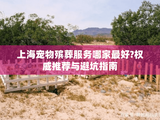 上海宠物殡葬服务哪家最好?权威推荐与避坑指南