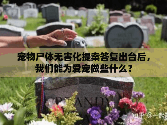 宠物尸体无害化提案答复出台后，我们能为爱宠做些什么？