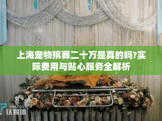 上海宠物殡葬二十万是真的吗?实际费用与贴心服务全解析
