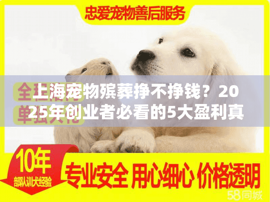 上海宠物殡葬挣不挣钱？2025年创业者必看的5大盈利真相分析