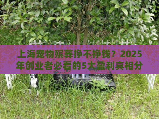 上海宠物殡葬挣不挣钱？2025年创业者必看的5大盈利真相分析