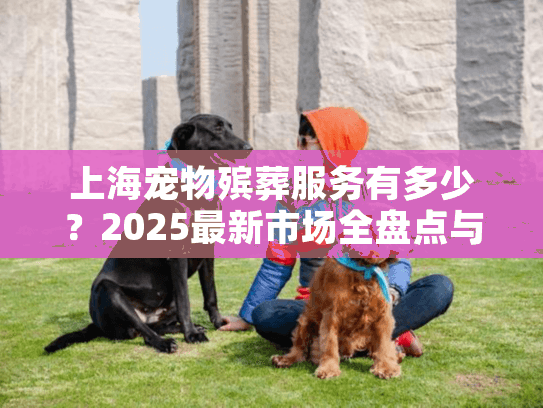 上海宠物殡葬服务有多少？2025最新市场全盘点与选择指南