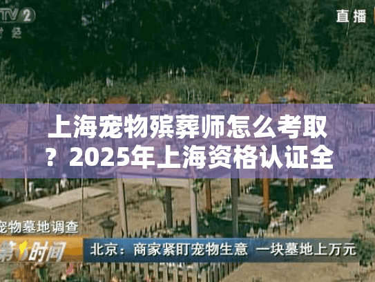 上海宠物殡葬师怎么考取？2025年上海资格认证全流程详解