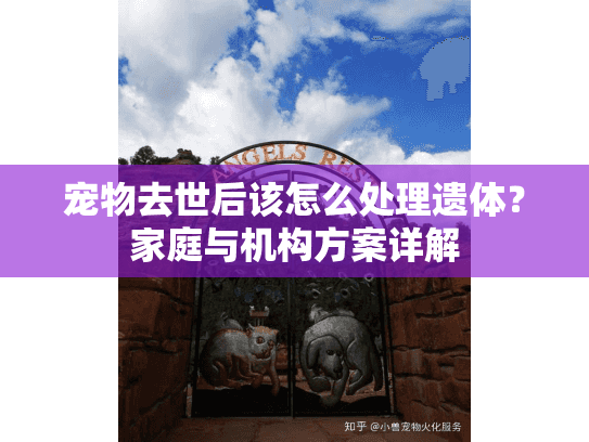 宠物去世后该怎么处理遗体？家庭与机构方案详解