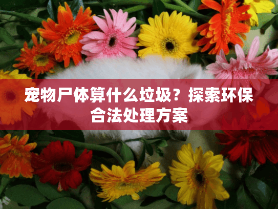 宠物尸体算什么垃圾？探索环保合法处理方案