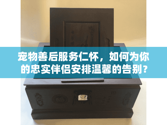 宠物善后服务仁怀，如何为你的忠实伴侣安排温馨的告别？