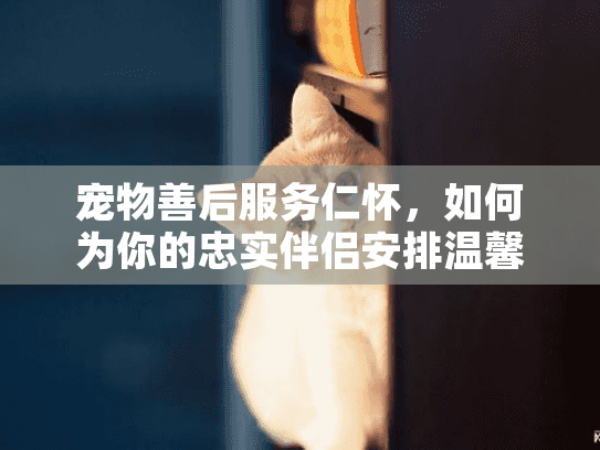 宠物善后服务仁怀，如何为你的忠实伴侣安排温馨的告别？