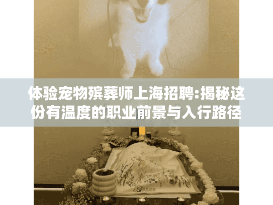 体验宠物殡葬师上海招聘:揭秘这份有温度的职业前景与入行路径