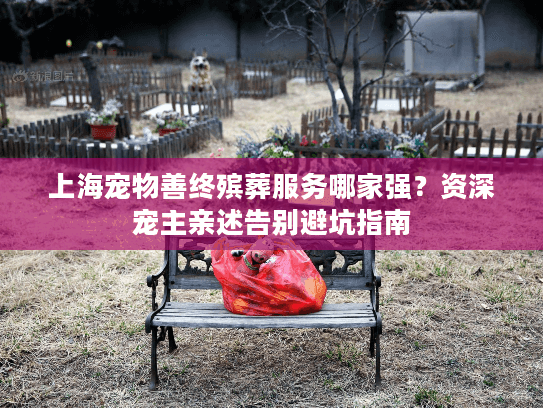 上海宠物善终殡葬服务哪家强？资深宠主亲述告别避坑指南
