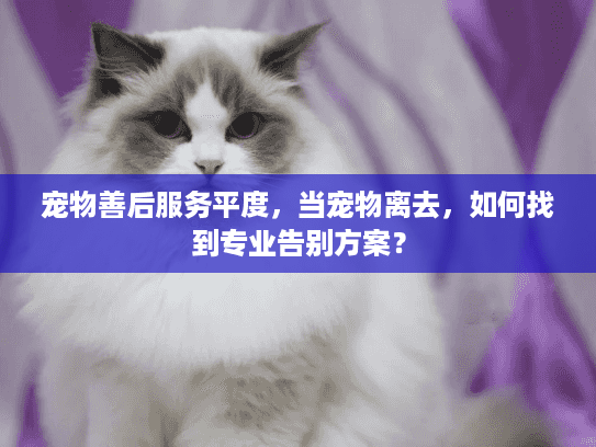 宠物善后服务平度，当宠物离去，如何找到专业告别方案？