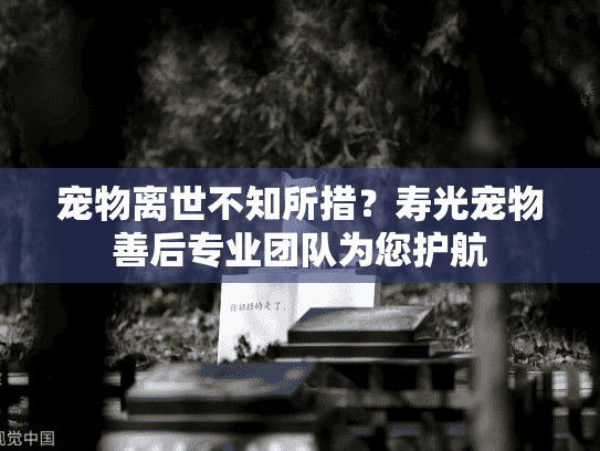 宠物离世不知所措？寿光宠物善后专业团队为您护航