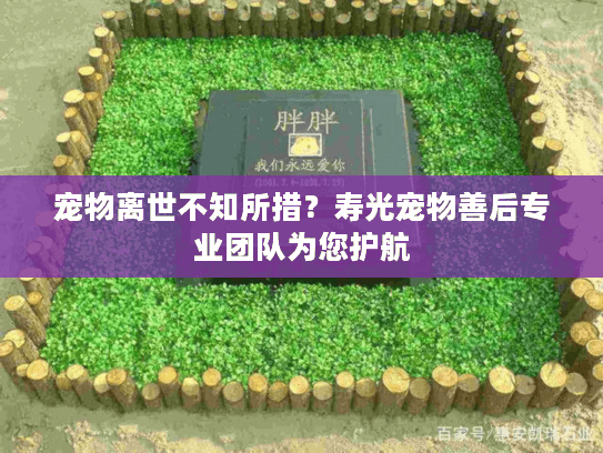 宠物离世不知所措？寿光宠物善后专业团队为您护航