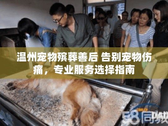 温州宠物殡葬善后 告别宠物伤痛，专业服务选择指南