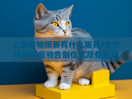 上海宠物殡葬有什么服务?全方位解析宠物告别仪式及骨灰定制