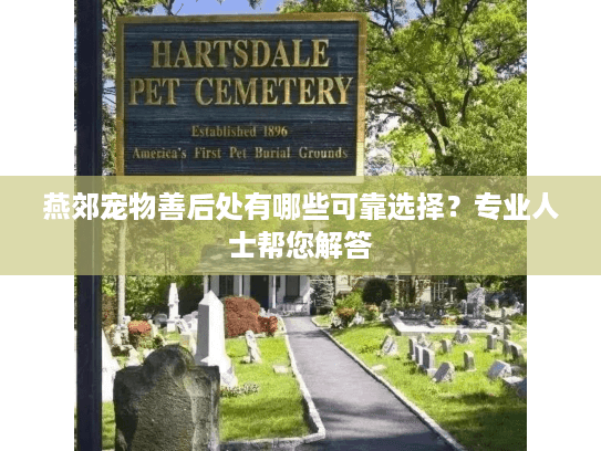 燕郊宠物善后处有哪些可靠选择？专业人士帮您解答