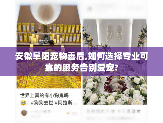 安徽阜阳宠物善后,如何选择专业可靠的服务告别爱宠? 安徽阜阳宠物善后,如何选择专业可靠的服务告别爱宠?