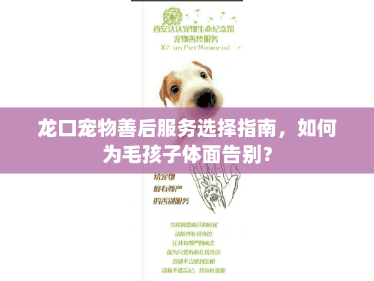 龙口宠物善后服务选择指南，如何为毛孩子体面告别？