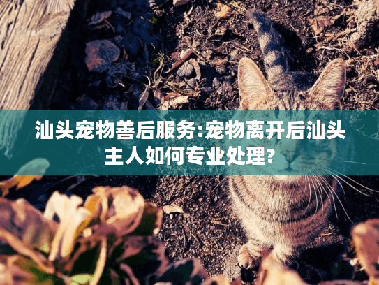 汕头宠物善后服务:宠物离开后汕头主人如何专业处理?