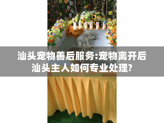 汕头宠物善后服务:宠物离开后汕头主人如何专业处理?